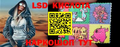 тгк Новодвинск