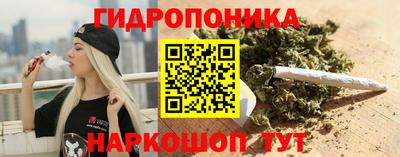 тгк Новодвинск