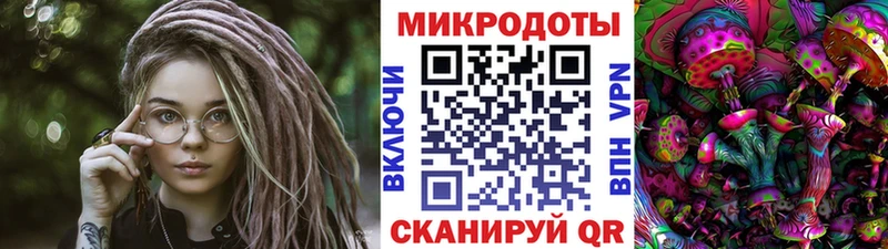 Псилоцибиновые грибы Cubensis  Вольск 